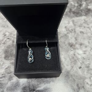 Elegant Silver and Blue Earrings
